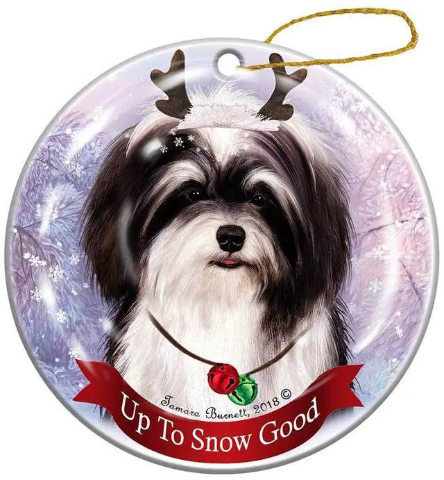 Main image of Holiday Pet Gifts Havanese, Black & White Dog Porcelain Christmas Ornament