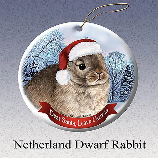 Main image of Holiday Pet Gifts Netherland Dwarf Rabbit Santa Hat Porcelain Christmas Ornament