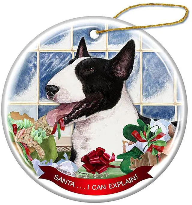Main image of Bull Terrier Black/White Dog Porcelain Ornament Pet Santa I Can Explain