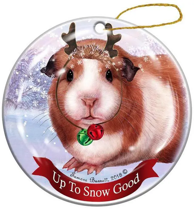 Main image of Holiday Pet Gifts Guinea Pig American Porcelain Christmas Ornament