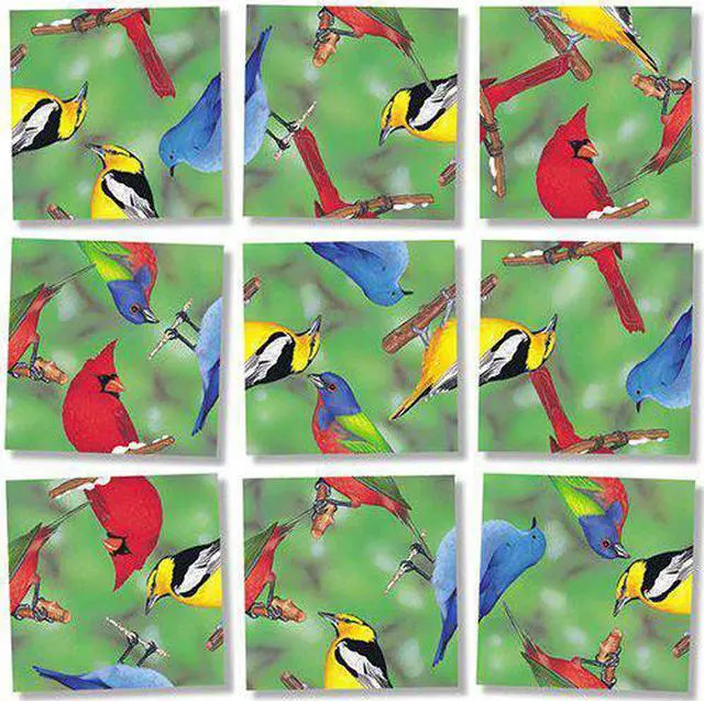 Main image of Scramble Squares: North American Birds