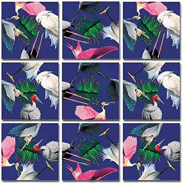 Main image of Scramble Squares: Wetlands Birds