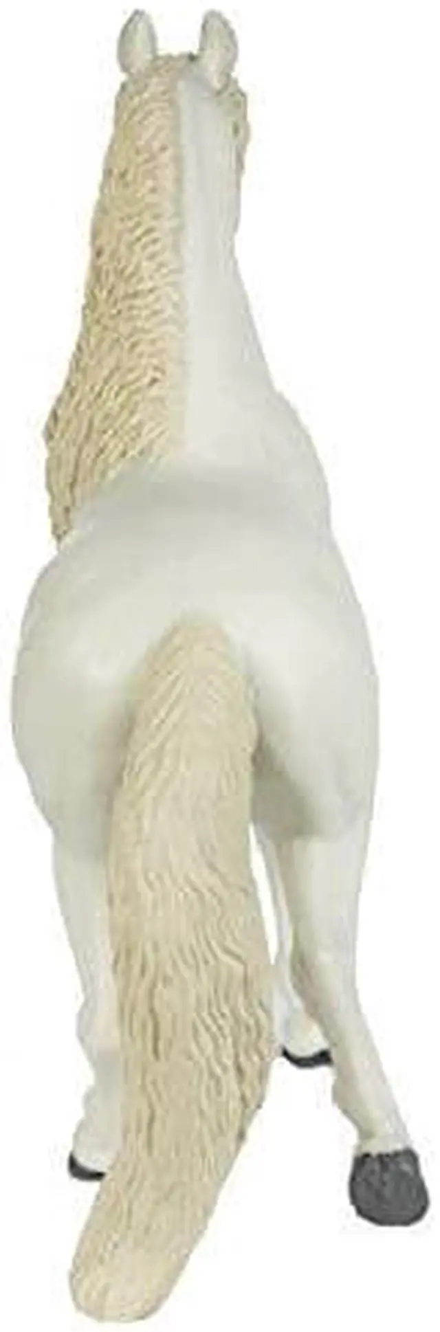 Alt view image 3 of 10 - Safari Winner's Circle Andalusian Stallion