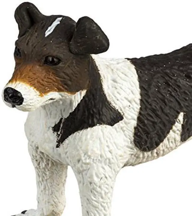 Alt view image 4 of 9 - Safari: Jack Russel Terrier
