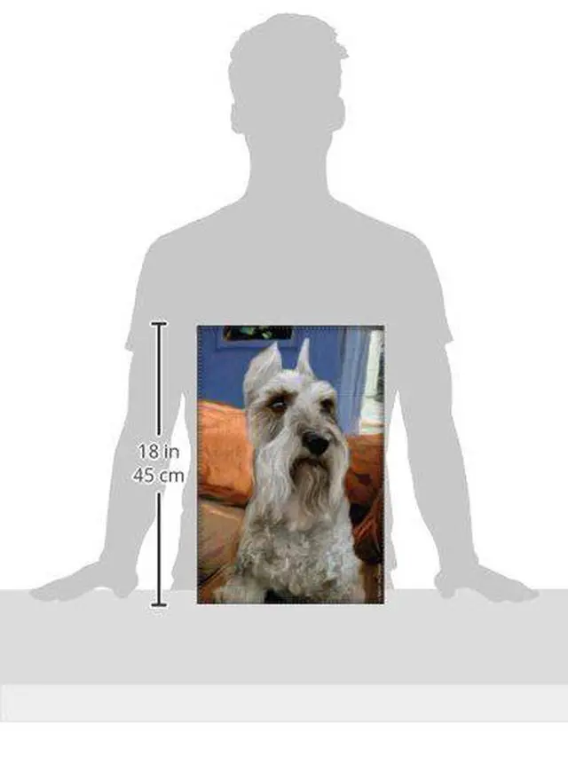 Alt view image 2 of 2 - LittleGifts Garden Flag, Schnauzer