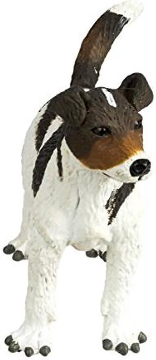Alt view image 3 of 9 - Safari: Jack Russel Terrier