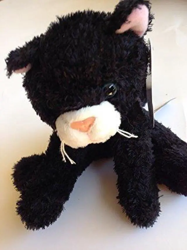 Main image of Catsy Kitty - 6" Black Cat by Mary Meyer