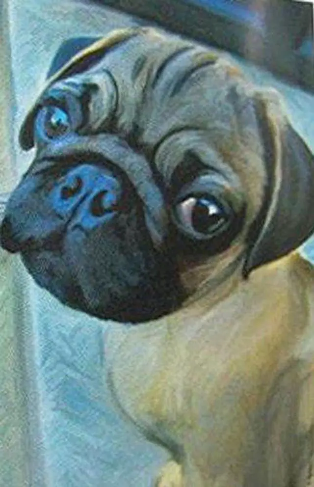 Main image of LittleGifts Garden Flag Pug
