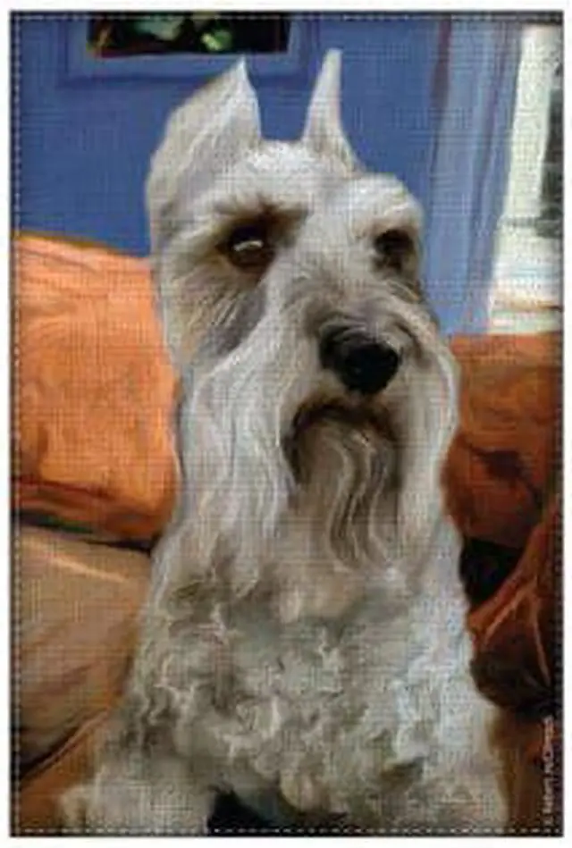Main image of LittleGifts Garden Flag, Schnauzer