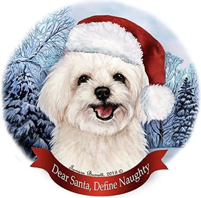 Main image of Holiday Pet Gifts Maltipoo Santa Hat Dog Porcelain Christmas Tree Ornament