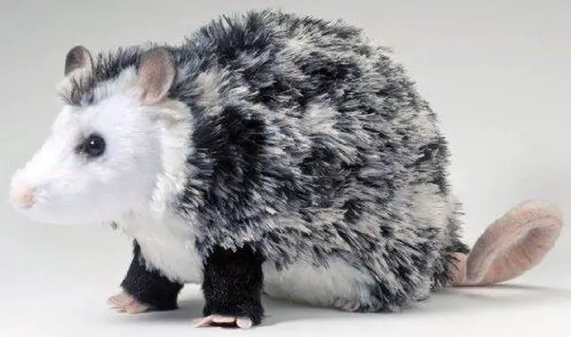 Alt view image 5 of 6 - Oliver Possum 9" Plush By Douglas Cuddle Toys