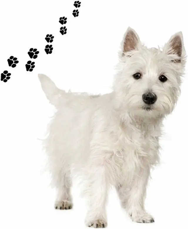 Main image of Andreas Round Silicone Mat Jar Opener, Westie Dog, 6.25 Inch