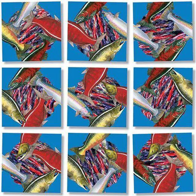 Main image of Salmon Puzzle