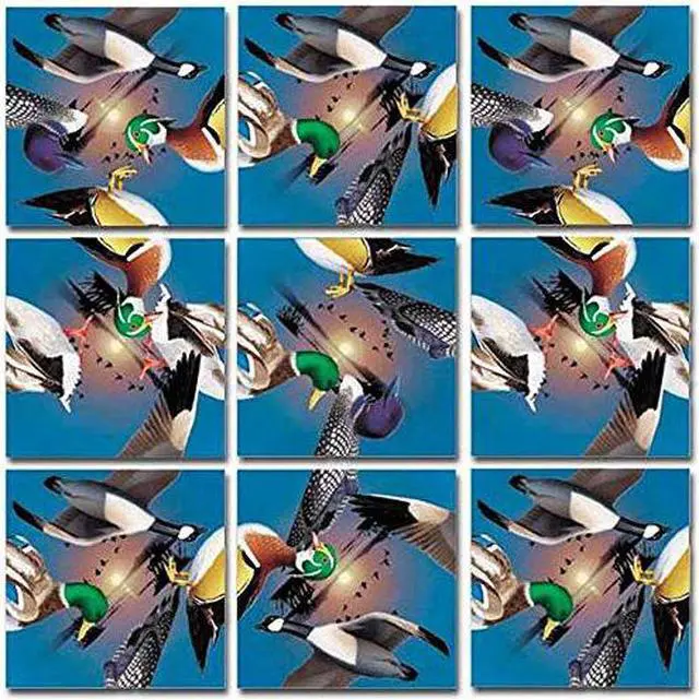 Main image of Scramble Squares: Water Birds