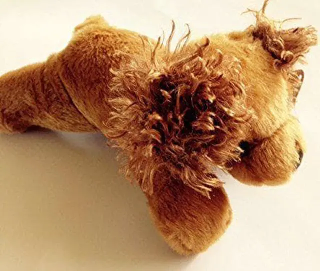 Main image of Mary Meyer Pesky Pups - Brown Cocker Spaniel Pup, 8"