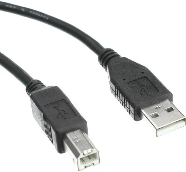 Main image of Axiom USB 2.0 Type-A to Type-B Cable M/M 6ft