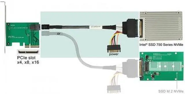 Alt view image 6 of 7 - CHENYANG  U.2 U2 SFF-8639 NVME PCIe SSD Cable for Mainboard Intel SSD 750 p3600 p3700 M.2 SFF-8643 Mini SAS HD