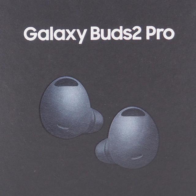 Galaxy Buds2 Pro, Graphite