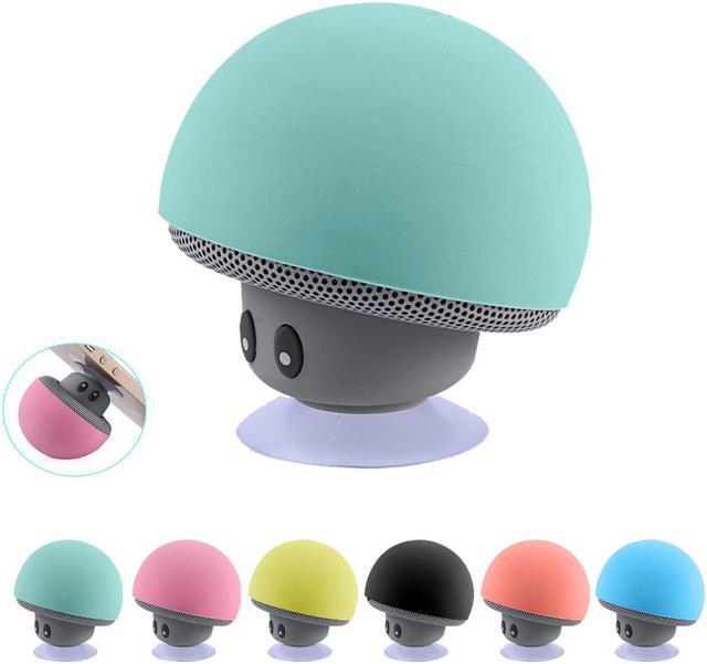 Speaker store suction holder