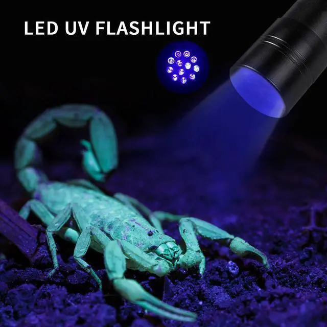 Alt view image 2 of 7 - 2 Pack Blacklight Flashlight Scorpion UV Flashlight, Ultraviolet LED Flashlight, Pet Urine and Stains Detector, Scorpion Hunting, 3 Light Modes with Zoom Function