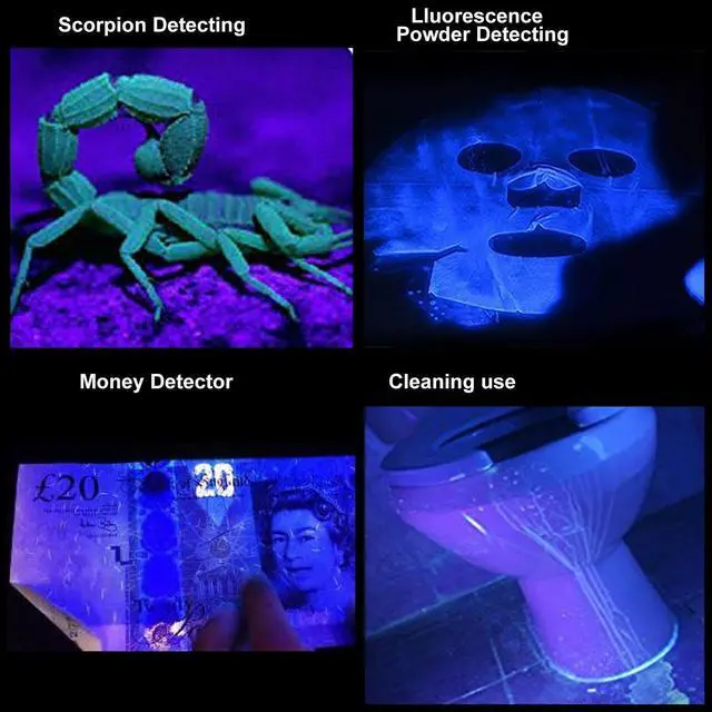 Alt view image 3 of 7 - 2 Pack Blacklight Flashlight Scorpion UV Flashlight, Ultraviolet LED Flashlight, Pet Urine and Stains Detector, Scorpion Hunting, 3 Light Modes with Zoom Function
