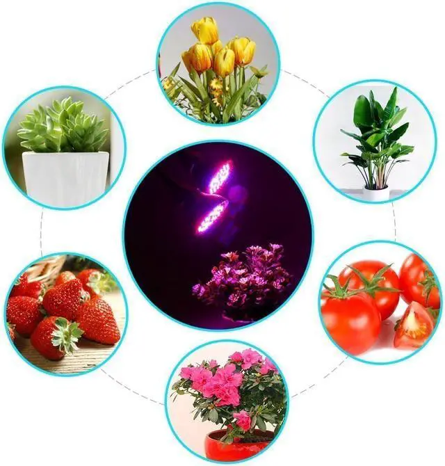 Alt view image 7 of 7 - Dual Head LED Grow Light, 60W Full Spectrum Desk Clip Plant Lamp Bulb with Double Flexible Gooseneck and Individual Switch for Home Office Indoor Plants Hydroponic Greenhouse