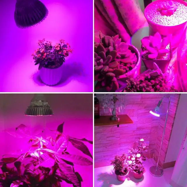 Alt view image 7 of 7 - LED Grow Light Bulb,30W Full Spectrum Grow bulbs for Indoor Plants Hydroponic,Plant lights Bulbs for Succulent Flowers Tobacco Vegetable Seedling (E26 / E27)