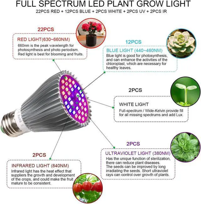 Alt view image 4 of 7 - LED Grow Light Bulb,30W Full Spectrum Grow bulbs for Indoor Plants Hydroponic,Plant lights Bulbs for Succulent Flowers Tobacco Vegetable Seedling (E26 / E27)