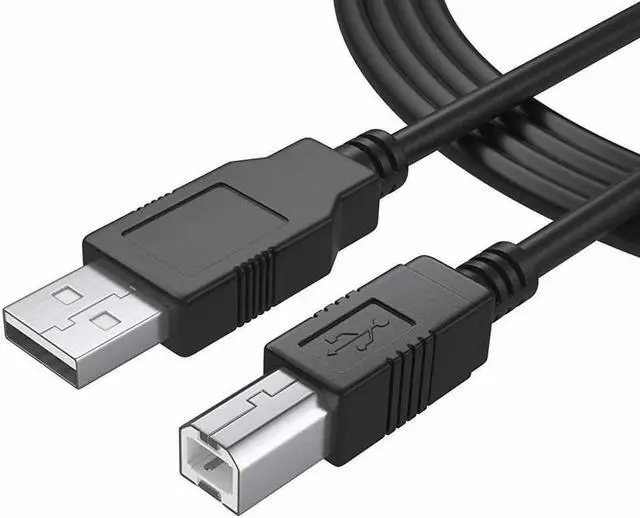 Main image of USB Printer Cable Werleo 6ft USB 2.0 Type A Male to B Male High Speed Connectors Printer Scanner Cord A Male to B Male for Brother HP Canon Lexmark Epson Dell Xerox Samsung etc