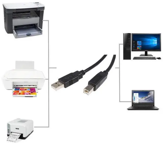 Alt view image 4 of 5 - USB Printer Cable Werleo 6ft USB 2.0 Type A Male to B Male High Speed Connectors Printer Scanner Cord A Male to B Male for Brother HP Canon Lexmark Epson Dell Xerox Samsung etc