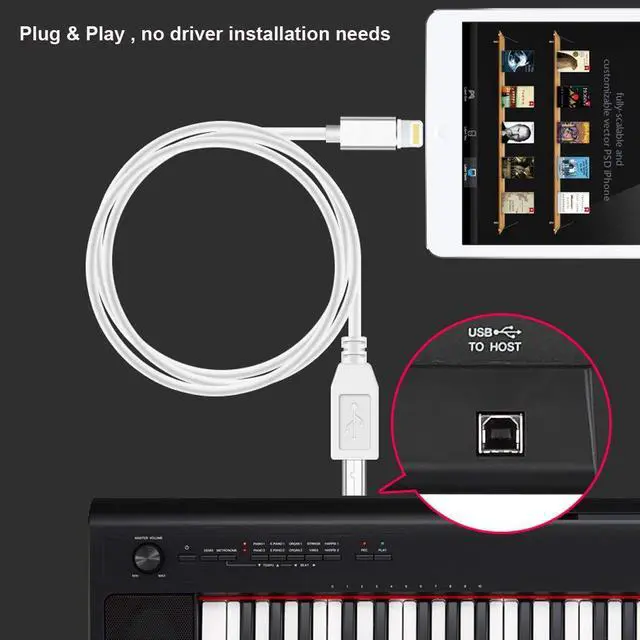 Alt view image 5 of 7 - Werleo 5FT Lightning to MIDI Cable Adapter USB 2.0 Interconnections Converter Midi Keyboard Electronic Instruments USB Microphone for iPhone 6 7 8 X iPad iPod Compatible with Multiple APPs