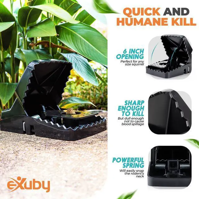 Alt view image 5 of 7 - eXuby Squirrel Trap (2 pack) - Consistent & Humane Kill Every Time - No Failures - Powerful & Deadly Spring - 5" Large Opening - 96% Instant Kill - For Attic, Garden, Forest &more -Reusable -Easy Setu