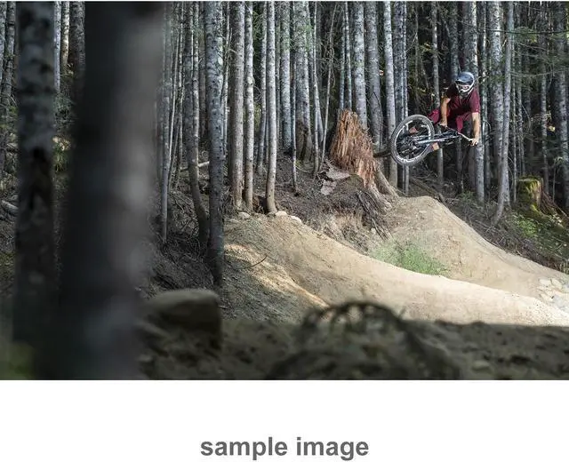 Alt view image 3 of 20 - Sigma 70-200mm F2.8 Sports DG OS HSM - Canon