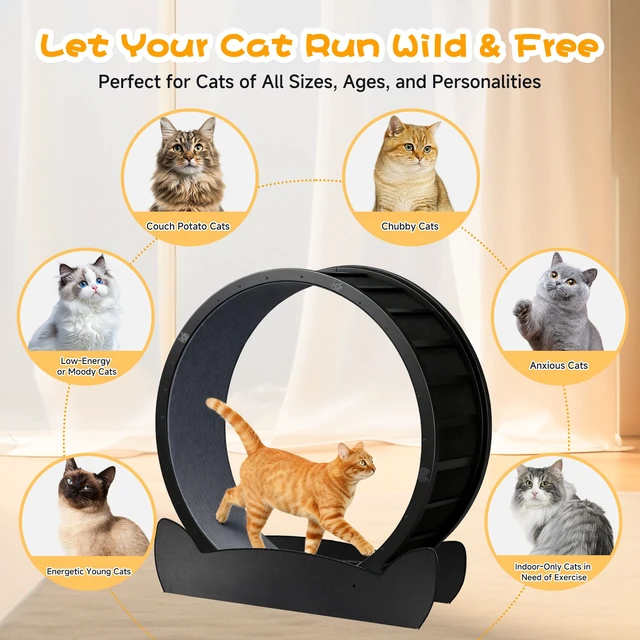 Alt view image 5 of 7 - GTPLAYER Cat Wheels, 40" Diameter, Large Cat Exercise Wheel for Indoor Cats cat Treadmill Metal with Detachable Carpet & Teaser/Stickers, Ultra-Quiet Scroll Wheel with Latch, Stable Black Cat Ears