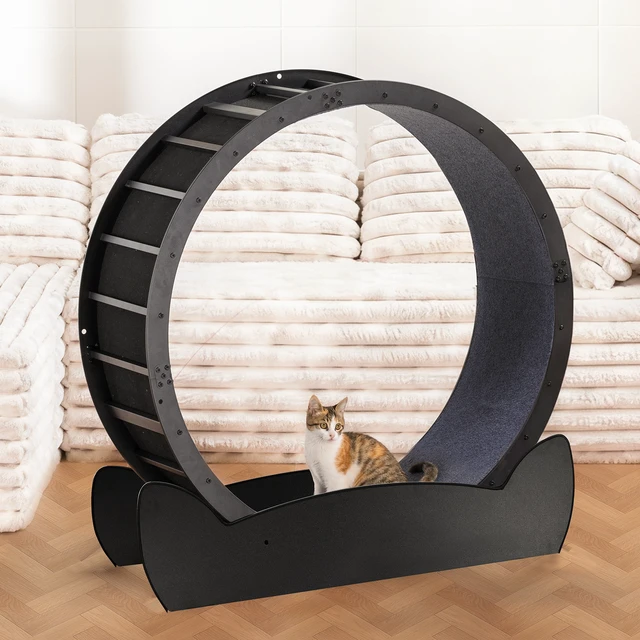 Alt view image 2 of 7 - GTPLAYER Cat Wheels, 40" Diameter, Large Cat Exercise Wheel for Indoor Cats cat Treadmill Metal with Detachable Carpet & Teaser/Stickers, Ultra-Quiet Scroll Wheel with Latch, Stable Black Cat Ears
