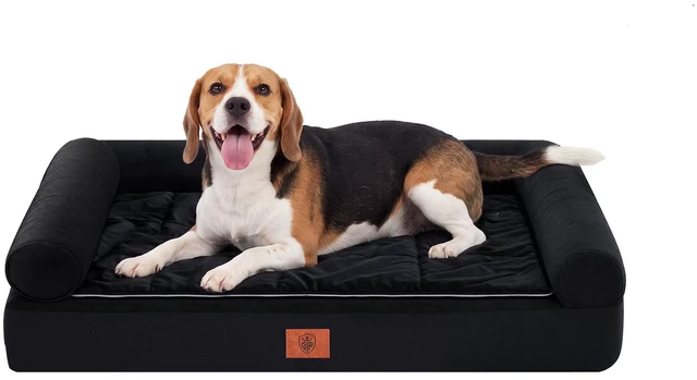 Main image of GTPLAYER Dog Bed, Egg-Crate Foam Pressure Relief with Waterproof Washable Pet Bed with 2-in-1 Cooling/Warming Pad, Non-Slip Bottom, Detachable Pillows, Ideal for All Dogs 33.5" x 21.6" x 5.5" Black