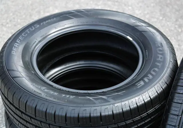 Alt view image 5 of 7 - 225/50R17 98V XL - Fortune Perfectus FSR602 Touring All Season Tire