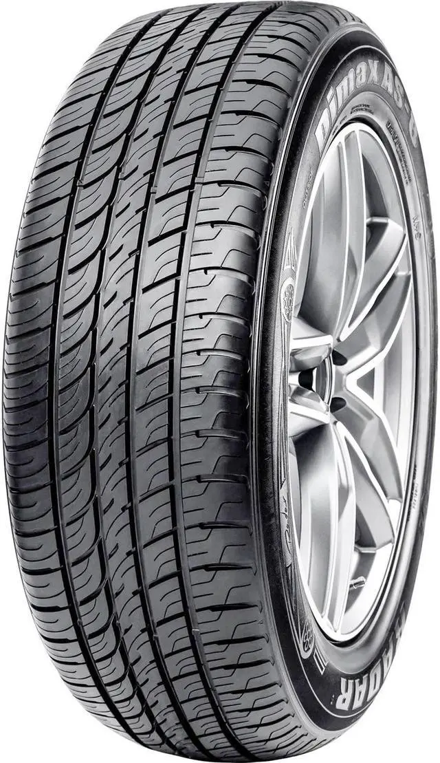 Main image of Radar Dimax AS-8 Performance All Season Tire - 285/40R24 112V XL