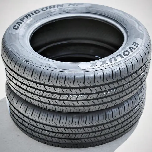 Alt view image 4 of 7 - Evoluxx Capricorn HP All Season Performance Tire - 205/65R15 94H