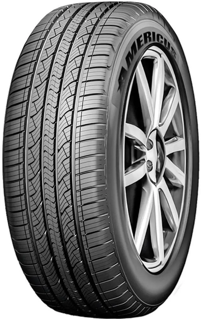 Main image of 245/45R19 102V XL - Americus Recon Tour Touring All Season Tire