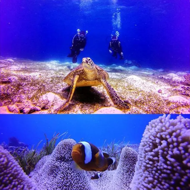 Alt view image 7 of 7 - For GoPro HERO5 30m Waterproof PC & ABS Housing Protective Case + Camera Lens Red Quadrate Filter with Buckle Basic Mount & Long Screw & Anti-lost Hand Strap