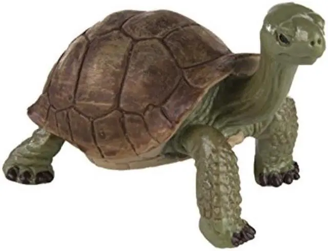 Alt view image 4 of 5 - Wild Safari Wildlife Giant Tortoise Safari Ltd Animal Educational Toy Figure