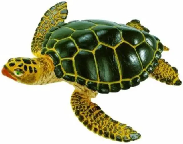 Alt view image 11 of 12 - Safari Wild Safari SeaLlife Green Sea Turtle