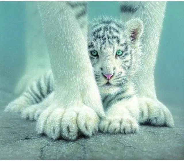 Alt view image 4 of 4 - Sheltered 550pc Jigsaw Puzzle by Colin Bogle SOIY1852 SUNSOUT