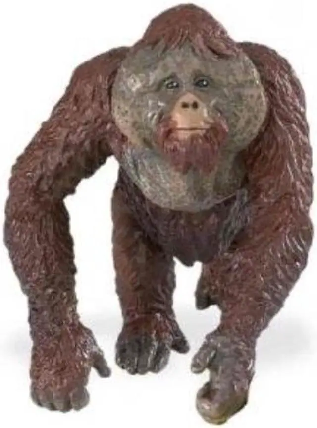 Alt view image 6 of 7 - Safari Ltd. Wildlife ? Male Orangutan ? Realistic Hand Painted Toy Figurine Model ? Quality Construction from Phthalate, Lead and BPA Free Materials ? For Ages 3 and Up