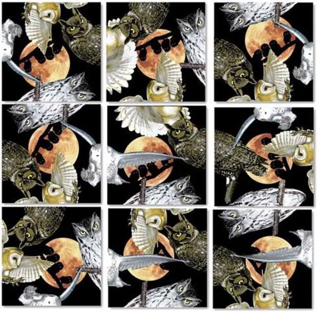 Alt view image 3 of 3 - B Dazzle Owls Scramble Squares 9 Piece Puzzle
