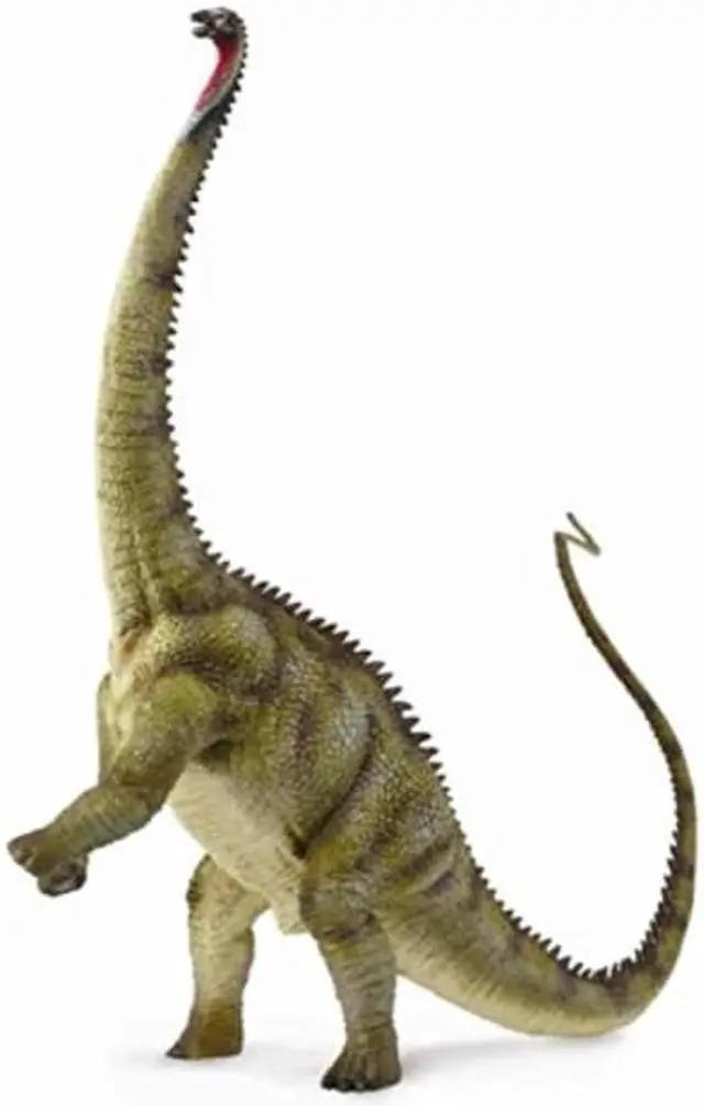 Alt view image 2 of 2 - CollectA Diplodocus Dinosaur Toy Dinosaur Figure - Authentic Hand Painted & Paleontologist Approved Model