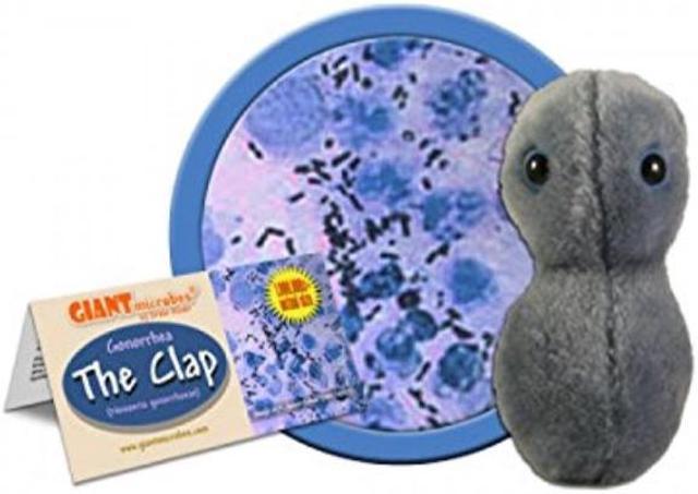 giant microbes australia