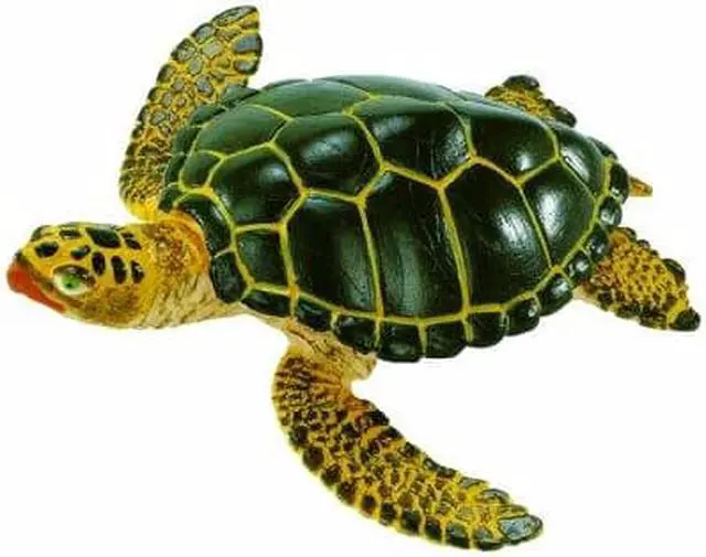 Alt view image 5 of 12 - Safari Wild Safari SeaLlife Green Sea Turtle