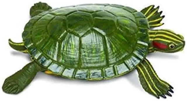 Alt view image 9 of 11 - Safari 269529 Incredible Creatures Red-Eared Slider Turtle